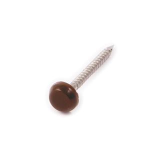 25mm Brown / Mahogany Polytop Plastic Head A4 Stainless Steel Pins